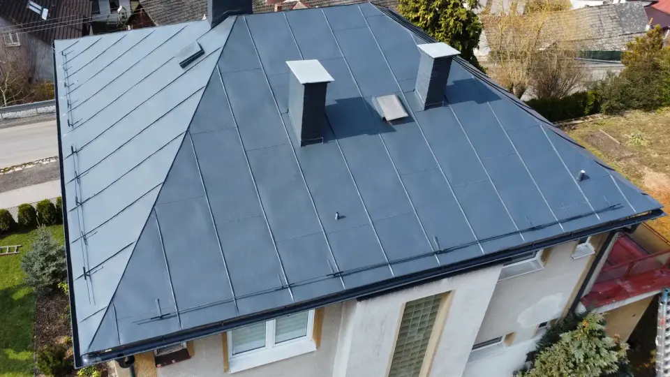 Čištění střech Po