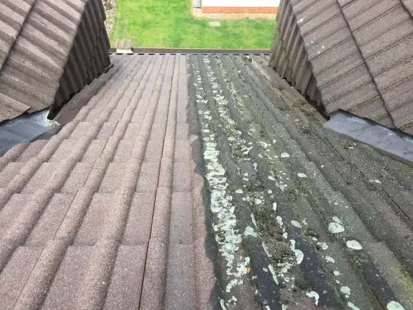 Střecha – srovnání před a po čištění